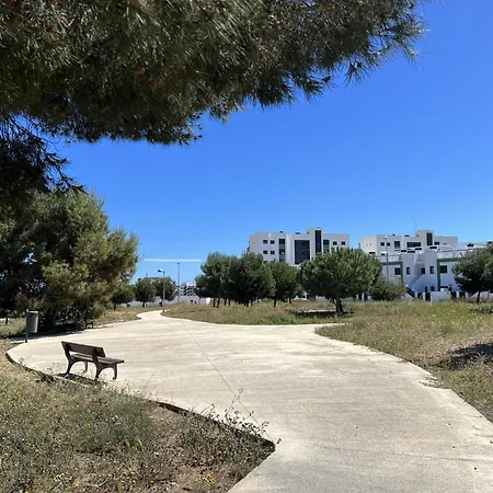 Espanhouse Mil Palmeras